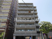 レモン春住の画像