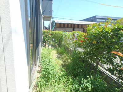 【展望】 | グリーンセトル万倍