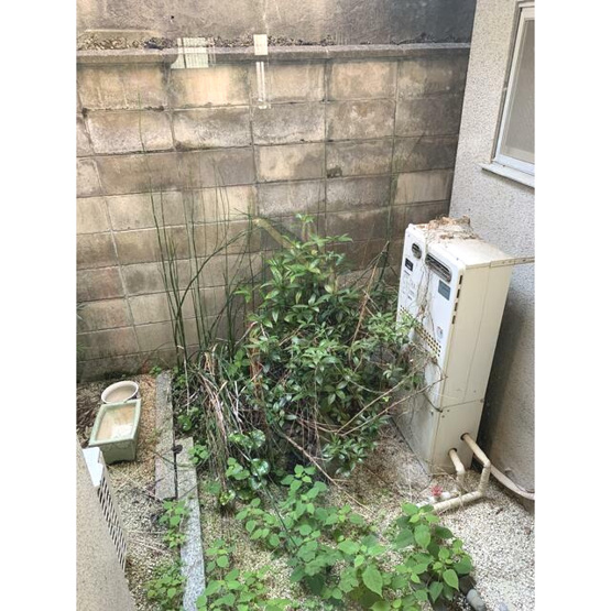 【庭】 | K21071-待鳳