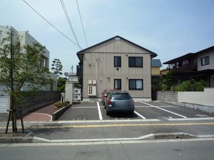 スイートフェンネルの外観