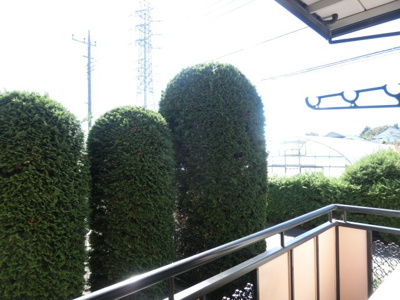 【展望】 | サイプレスタウン