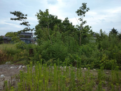 【外観】 | 鳥取市叶土地