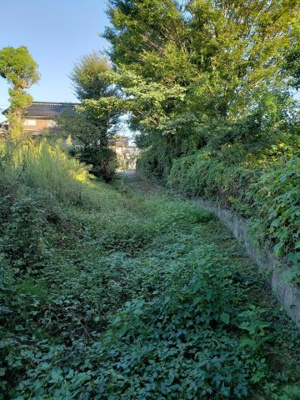 【前面道路含む現地写真】 | 鳥取市叶土地