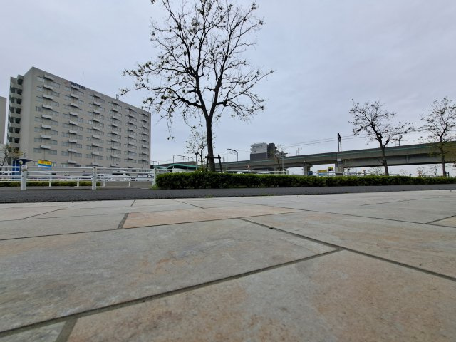 プレミアムコートりんくうの展望