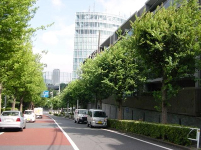 【周辺】 | フレンシア外苑西 | 前面道路