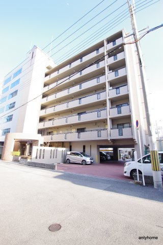 ドミールC・S　仲介手数料無料の外観