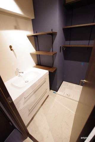 ブエナビスタ梅田ノース　仲介手数料無料の洗面所