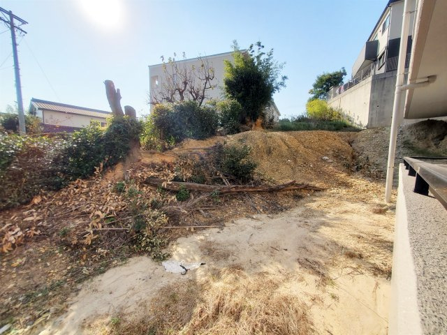 PeacH花の家の庭