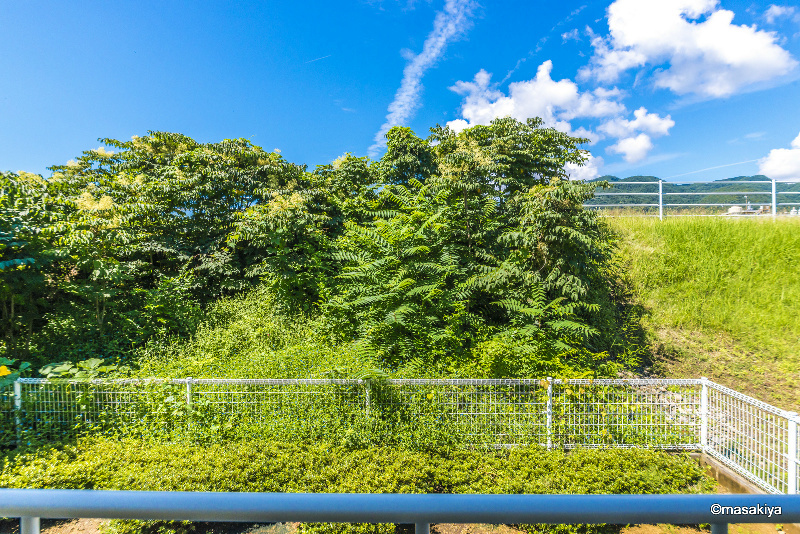 ウィスティリア　Ⅱの展望|眺望