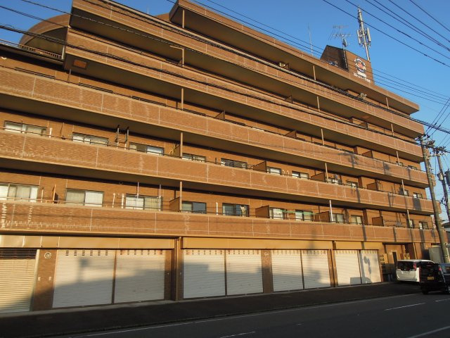 信開ベルシー文京南の外観