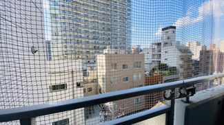 【展望】 | 前面に大きな棟がなく開放的な眺望です。