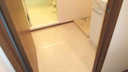 クリアコート|シャンプードレッサー付きの洗面台です