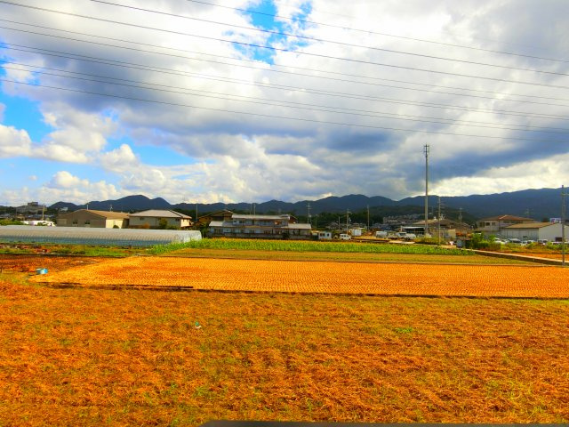 シャローム山城の展望