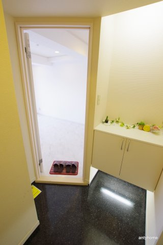 アルテ118　仲介手数料無料の内装