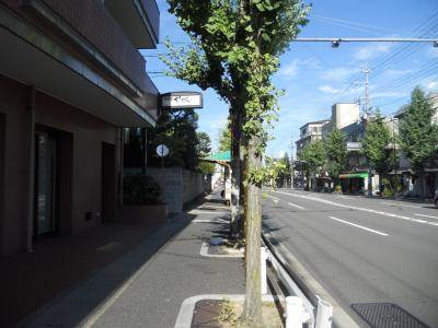 ラ・ファルド嵯峨の周辺|前面道路