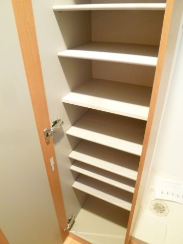 木津川ＴＳマンションの収納