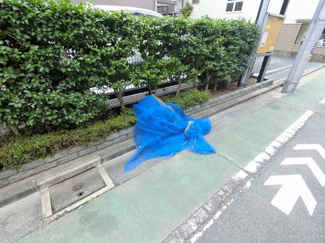 【その他共用部分】 | ゴミ置場