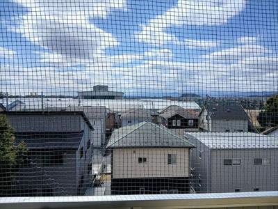 【展望】 | Fメゾン