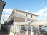 クローバーの画像