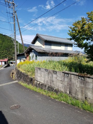 【前面道路含む現地写真】 | 八頭郡智頭町山根土地