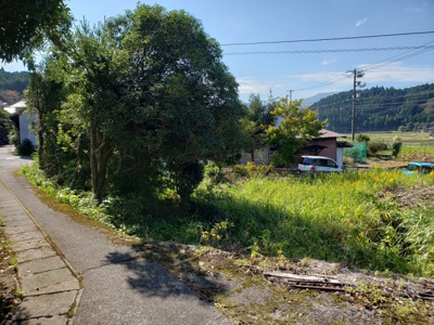 【前面道路含む現地写真】 | 八頭郡智頭町山根土地