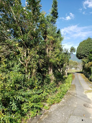 【前面道路含む現地写真】 | 八頭郡智頭町山根土地