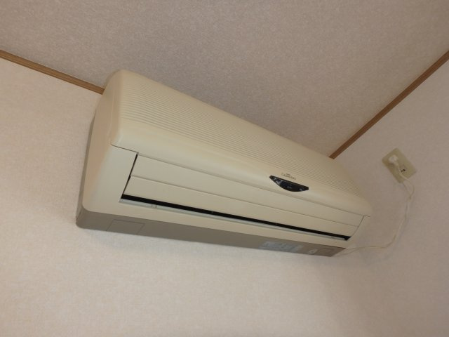 ヤングリーフ桜の設備