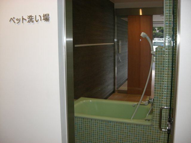 戸田市大字新曽の賃貸マンションのその他共用部分|ペット洗い場