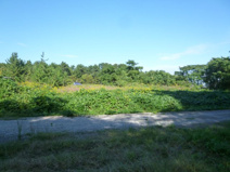 野洲市菖蒲　売土地の画像