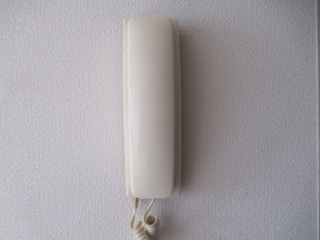 ローレルさくらのその他