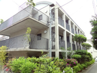 A.P.Hの画像