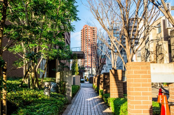 【周辺】 | 【周辺】エントランス横の通路です。潤い豊かな緑に囲まれ、四季折々の表情を楽しめます！