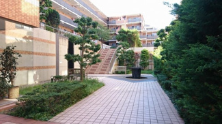【その他共用部分】 | マンション中庭です。