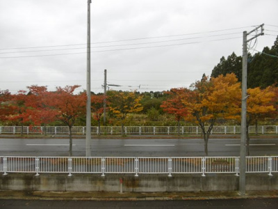 【展望】 | コーストジャストゼロ