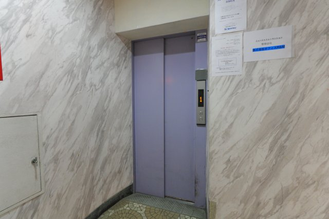 ニューシャトレーマンションのロビー