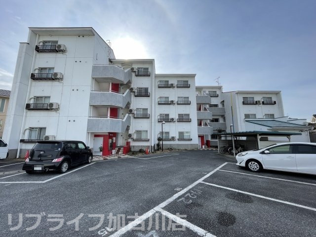 カインド小野