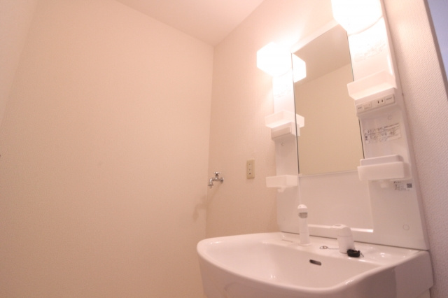 エステート桃山Ⅱの洗面所