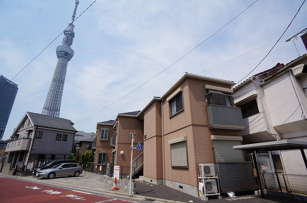 プリムローズ