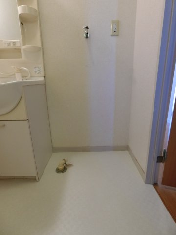 ハイツ旗ヶ崎21の洗面所