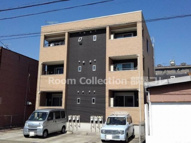 アニメートの画像