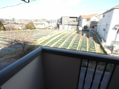 【展望】 | アルシオンＮ