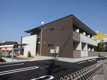 ｐｒｉｍａｖｅｒａの画像