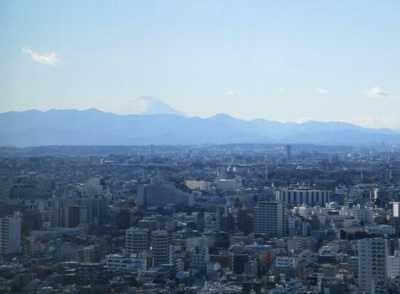 【展望】 | ザパークハウス西新宿タワー60