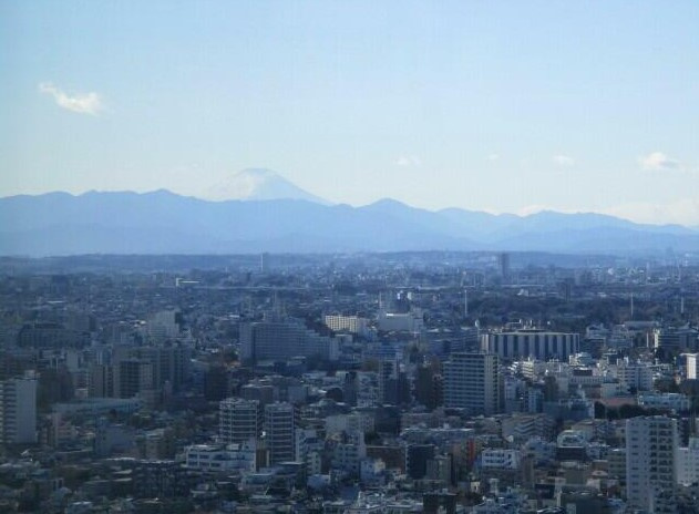 【展望】 | ザパークハウス西新宿タワー60