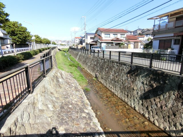 明石市朝霧南町　土地の周辺|水質もきれいで小魚や小動物が生息してます