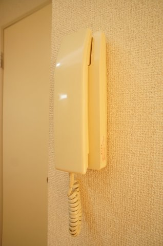 レピナールのセキュリティ