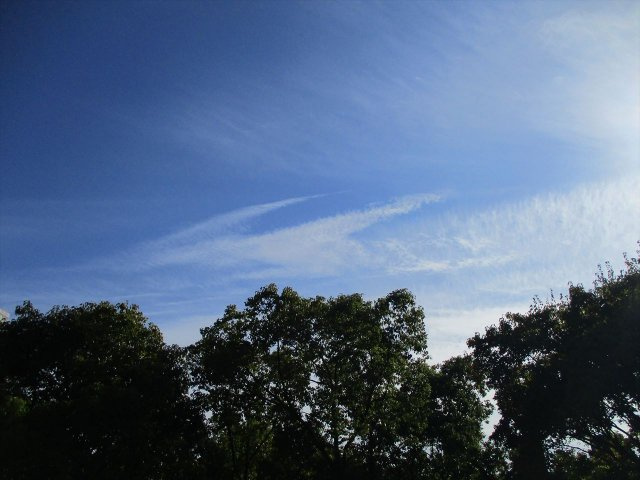 サングリーン新栄|名古屋市の賃貸ならMy賃貸の展望|サングリーン新栄