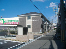 プルメリアの画像