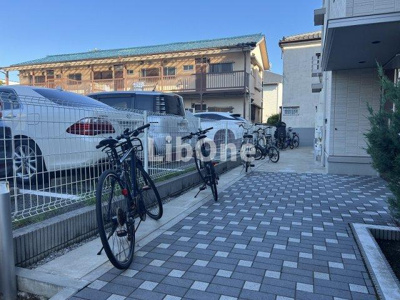 【その他】 | MUMcourt