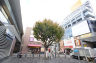 アルファライフ今津の画像